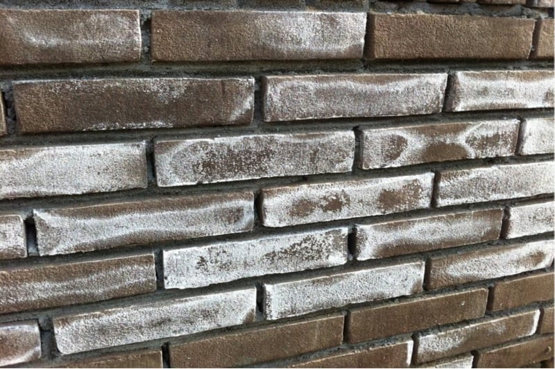 Gevel uitbloeiing